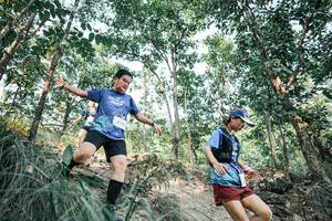 BIB: 
                            <button type="button" onclick="openModal(25981663)" class="btn btn-primary btn-sm float-right btn-popup" data-toggle="modal" data-target=".modal-high-quality">
                        <i class="fas fa-shopping-cart"></i> Add to Cart
                    </button>
                                            <button type="button" onclick="isThisMe(25981663, true)" class="btn btn-success btn-sm float-right btn-popup btn-isme hidden" data-toggle="tooltip" data-placement="bottom" title="นี่คือรูปของคุณใช่ไหม คลิกที่นี่เพื่อเอาเข้าอัลบั้ม">
                        <i class="fas fa-plus"></i> Add to album
                    </button>
                    <button type="button" onclick="isThisMe(25981663, false)" class="btn btn-warning btn-sm float-right btn-popup btn-isnotme hidden">
                        <i class="fas fa-ban"></i> Remove from album
                    </button>